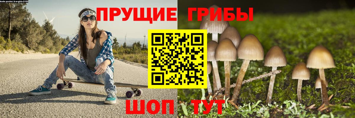 Торжок  Псилоцибиновые грибы MAGIC MUSHROOMS  Псилоцибиновые грибы Cubensis  Вход с VPN 